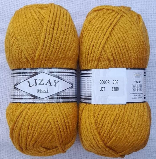 Lizay Maxi 04