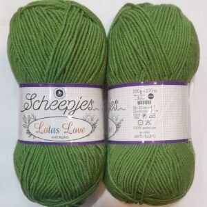 Scheepjes Turkish Yarn | Bottle Green 015